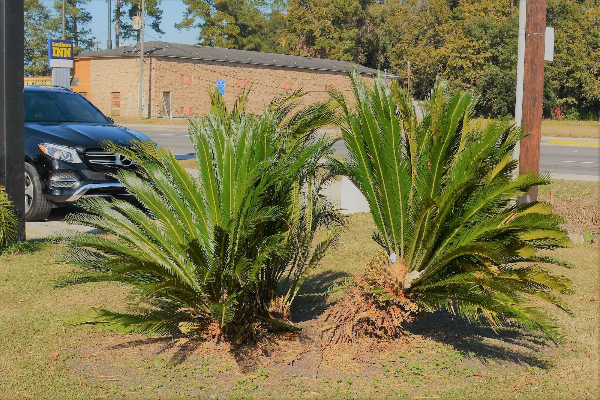 Travelodge By Wyndham Walterboro Dış mekan fotoğraf